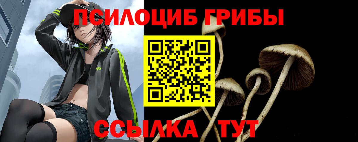 Псилоцибиновые грибы мицелий Белая Калитва