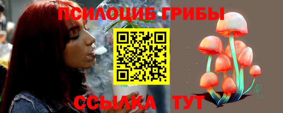 Белая Калитва  Галлюциногенные грибы Psilocybe  Вход с VPN 